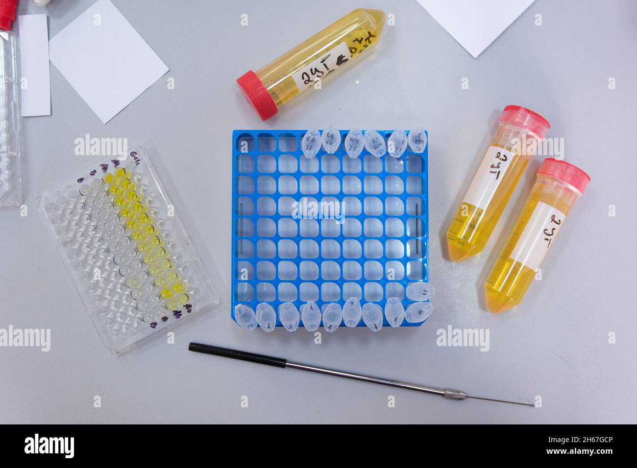 Les articles de laboratoire sont sur la table de travail du laboratoire, les tubes à essai, les trousses à crayons, les comprimés, la boucle lycrobiologique. Banque D'Images