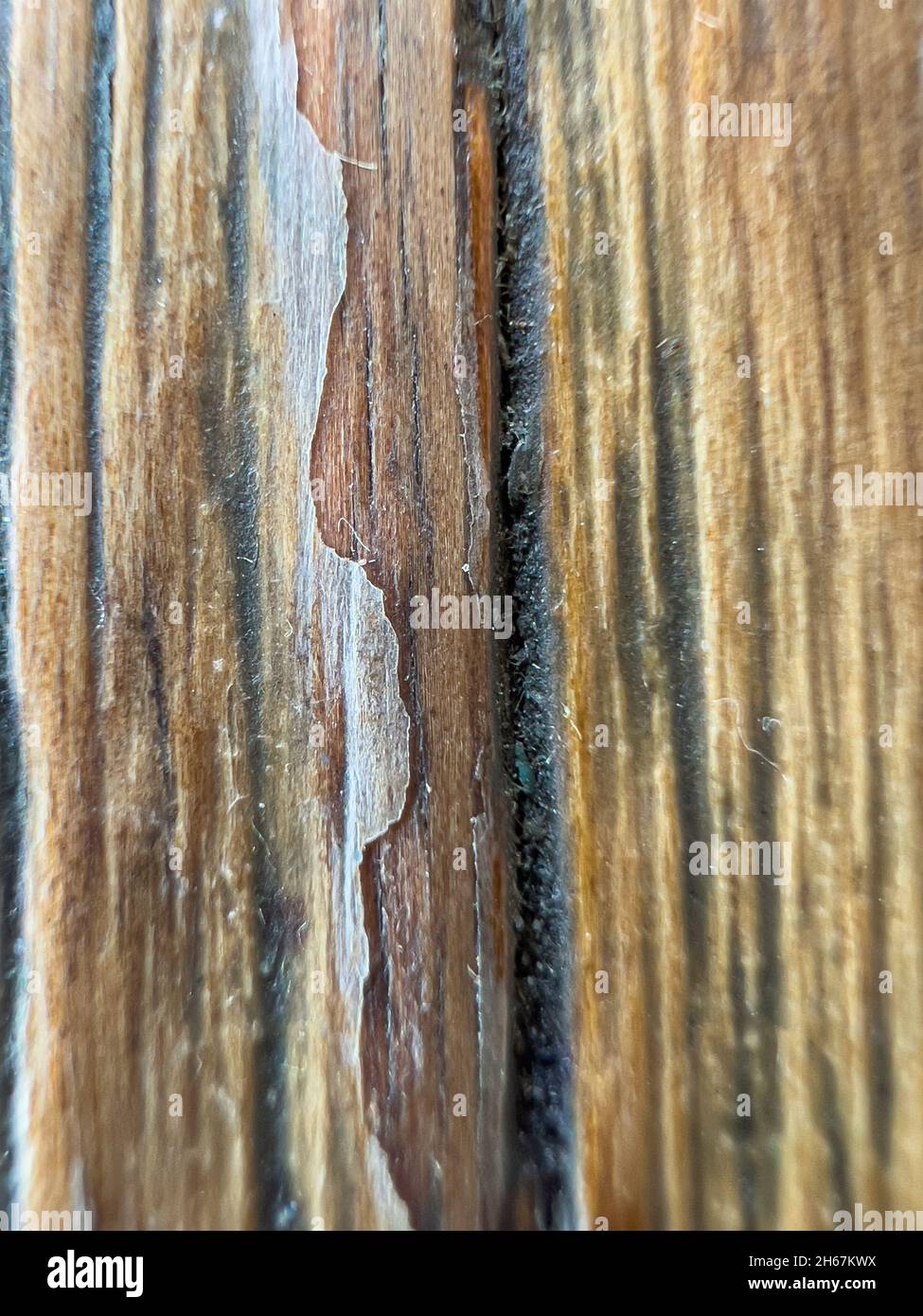 Ancienne texture de bois vieillie Banque D'Images