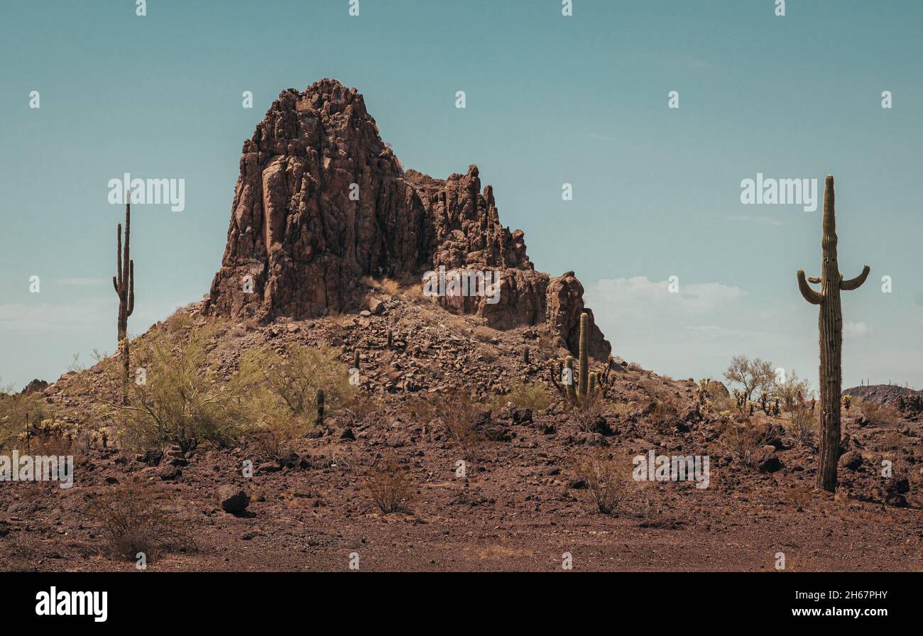 Scène de l'Ouest sauvage en Arizona avec des saguaros et des rochers. Banque D'Images