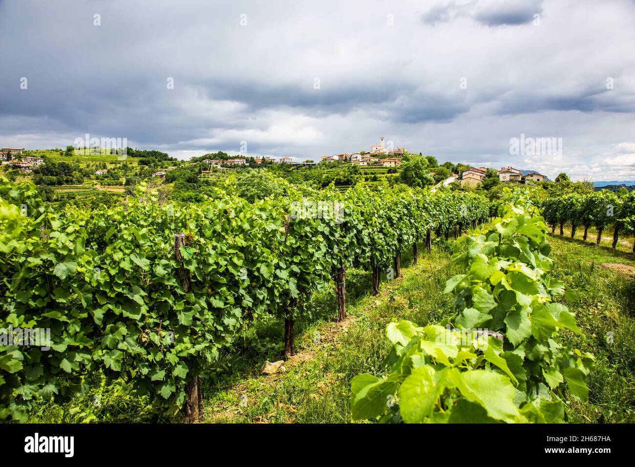 Village médiéval Smartno à Goriska Brda, région de la Slovénie. Banque D'Images