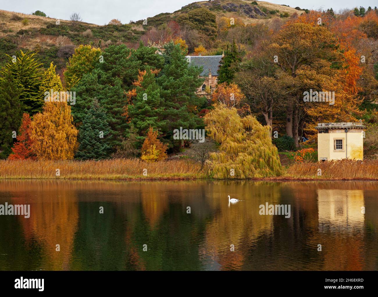 Duddingston Loch Edinburgh, Écosse, Royaume-Uni.14 novembre 2021.Nuageux avec réflexions à 7 degrés sur le loch.Avec Duddingston Kirk niché au milieu du sol et Arthur's Seat derrière, sur la droite se trouve Thomson's Tower qui est un bâtiment octogonal unique situé sur la rive du Loch Duddingston conçu par William Henry Playfair (1789-1857),Le célèbre architecte d'Édimbourg et construit par la Duddingston Curling Society dont les membres ont d'abord rédigé les règles du curling, ce qui a conduit à la normalisation du jeu dans tout le pays.Crédit : Arch White/Alamy Live News Banque D'Images