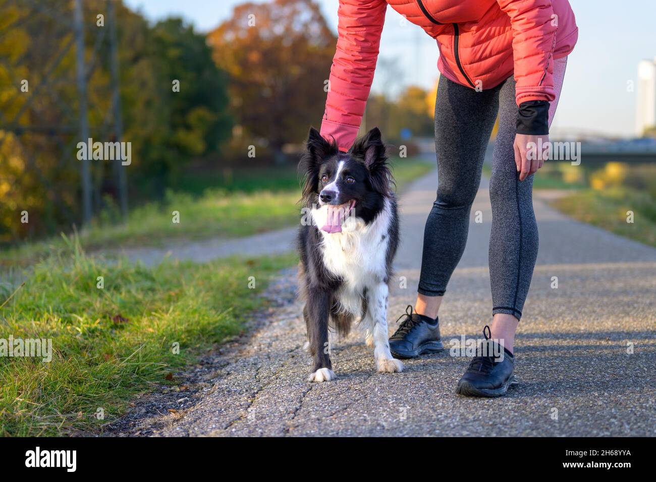 Une femme se plie pour s'amuser son chien Border Collie à l'extérieur sur un sentier de randonnée pendant la soirée ou courir ensemble dans un style de vie actif en plein air c Banque D'Images