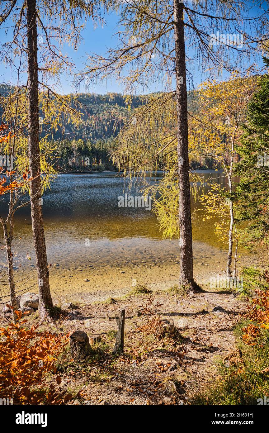 Paysage d'automne à l'Ödensee en Styrie Banque D'Images