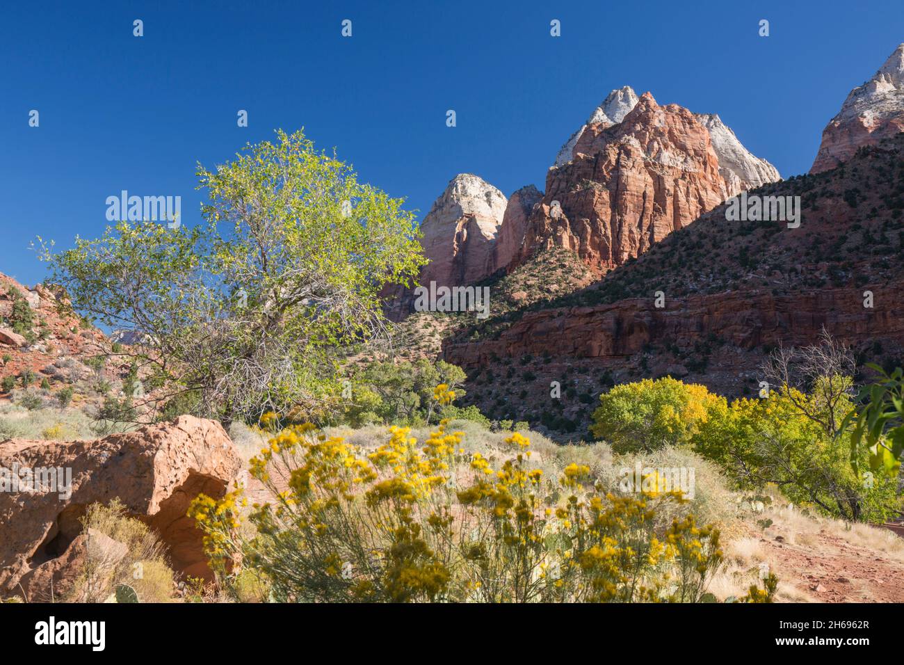 Parc national de Zion, Utah, États-Unis.Vue le long du canyon de Zion jusqu'au mont Spry, aux frères jumeaux et à la montagne du soleil, en automne. Banque D'Images