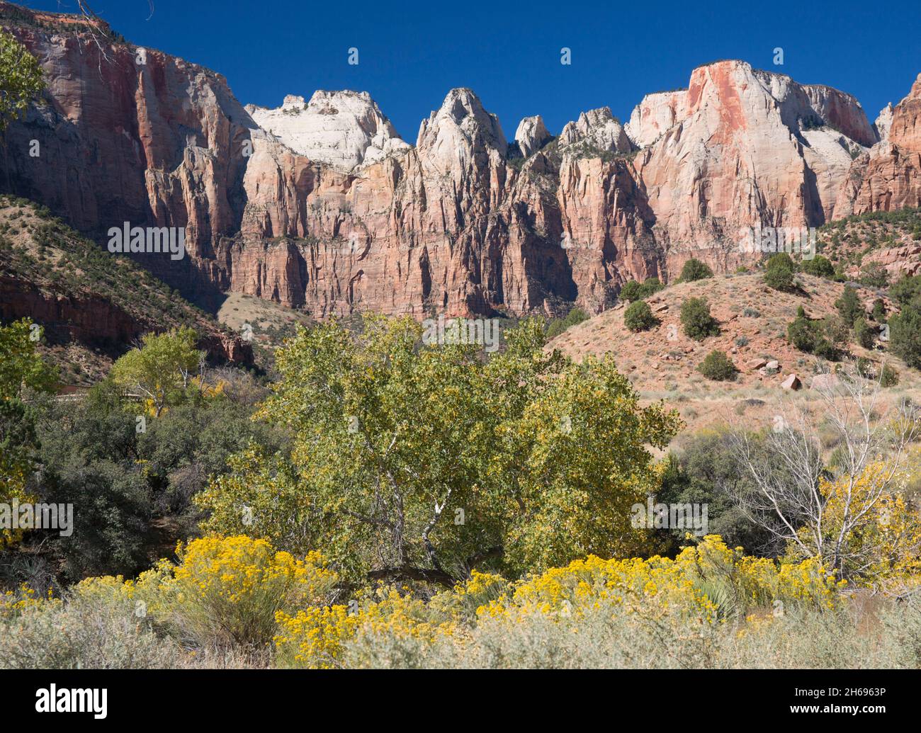 Parc national de Zion, Utah, États-Unis.Vue sur les Tours de la Vierge depuis le sentier Pa'rus, en automne, la tête de Witch et l'autel du sacrifice en vue. Banque D'Images