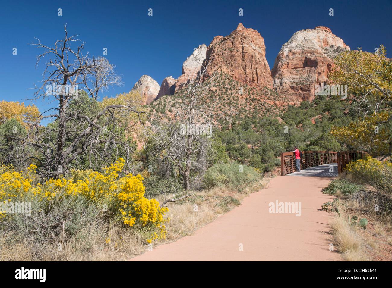 Parc national de Zion, Utah, États-Unis.Vue le long de la Pa'rus Trail jusqu'au Mont Spry et au Temple est, automne, visiteur sur la passerelle au-dessus de la rivière Virgin. Banque D'Images
