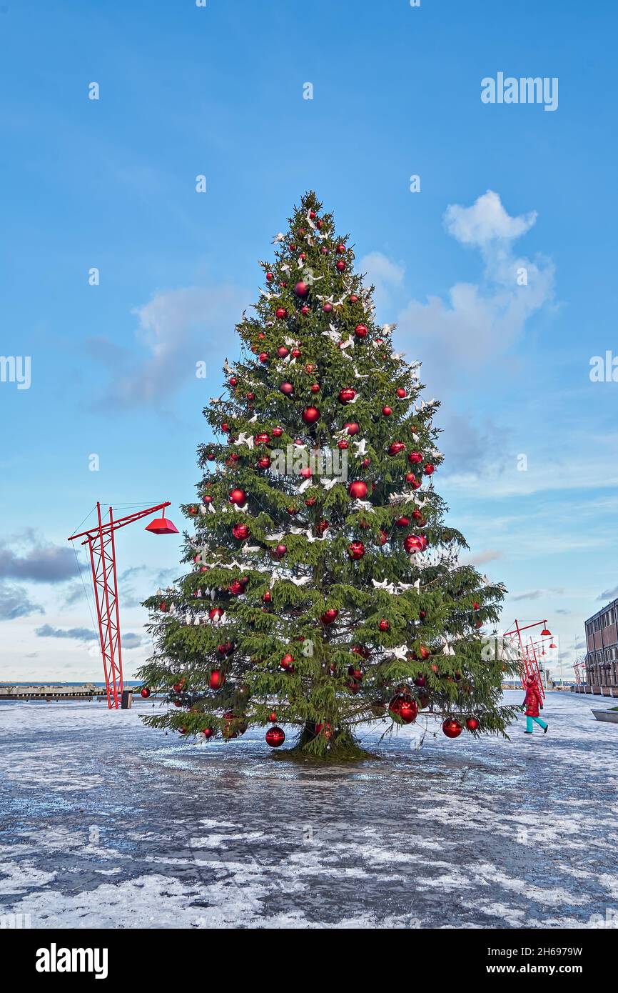 Sapin de Noël naturel décoré de boules de Noël rouges et d'oiseaux blancs sur la place de la ville.Concept de Noël moderne Banque D'Images