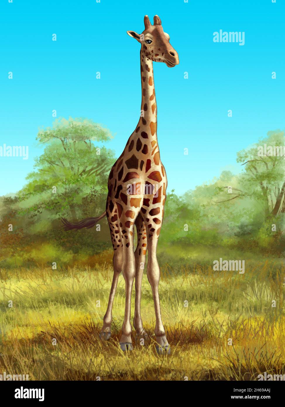 Faune: Girafe dans son environnement africain natif.Illustration numérique. Banque D'Images