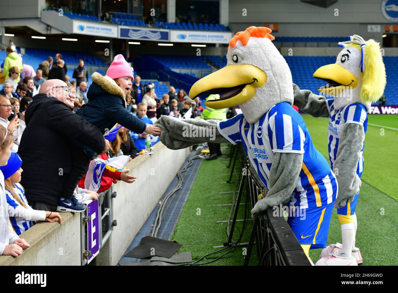 Brighton, Royaume-Uni.14 novembre 2021.Gully et Sally The Seaguls accueillent les fans de Brighton lors du match de Super League entre Brighton & Hove Albion Women et Leicester City Women à l'Amex le 14 novembre 2021 à Brighton, en Angleterre.(Photo de Jeff Mood/phcimages.com) Credit: PHC Images/Alamy Live News Banque D'Images