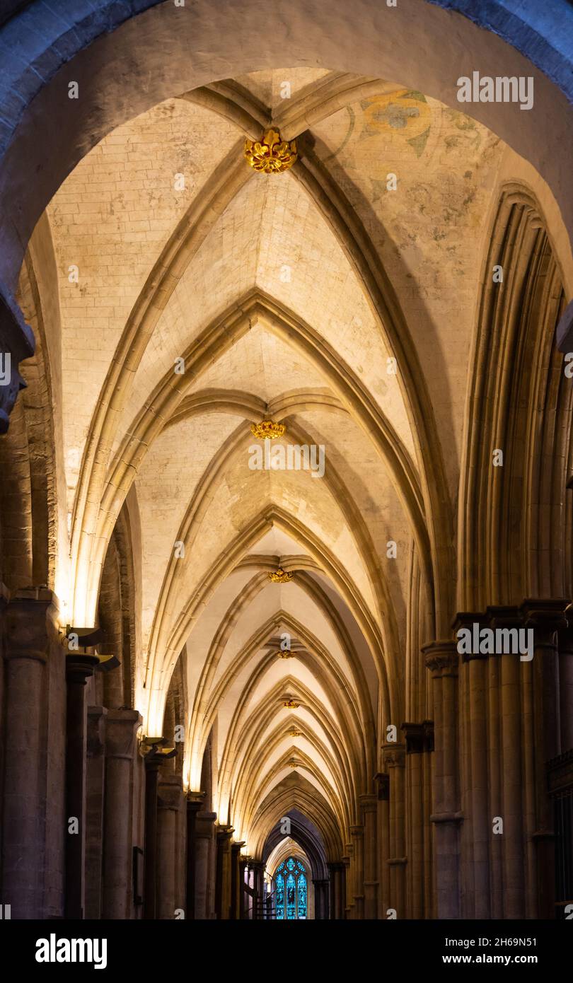 Vue le long de la voûte côtelée (coffre-fort au plafond) à l'intérieur de la cathédrale Chichester, Royaume-Uni.Merci au doyen et au chapitre de la cathédrale de Chichester. Banque D'Images