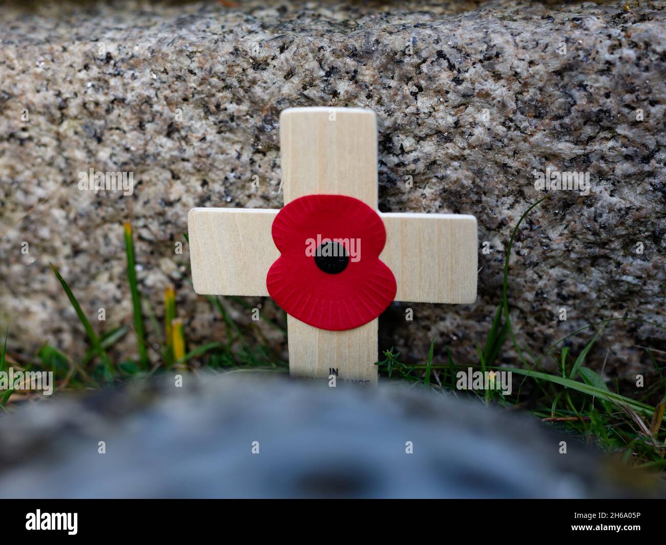 Le Poppy du souvenir sur une croix en bois posée devant un mémorial de guerre Banque D'Images