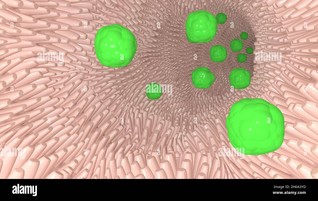 Villi dans les bactéries vertes probiotiques intestinales soins de santé humaine flore intestinale gens microbiome 3d rendu Banque D'Images