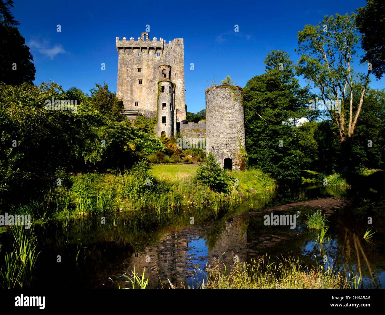 Le château de Blarney, comté de Cork, Irlande Banque D'Images