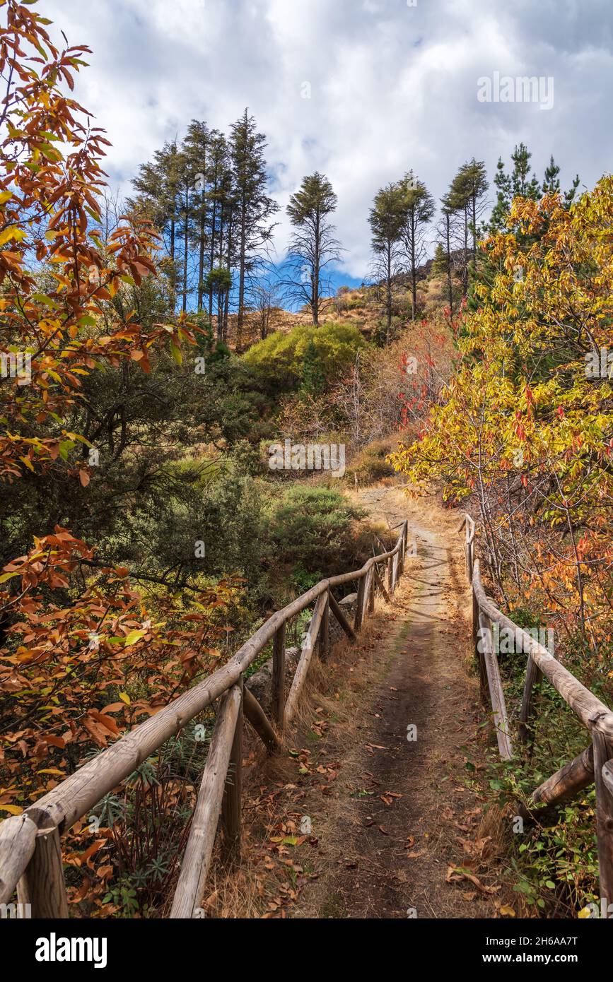Pont sur la rivière Lanjaron dans la Sierra Nevada, à travers lequel passe un chemin, en automne. Banque D'Images