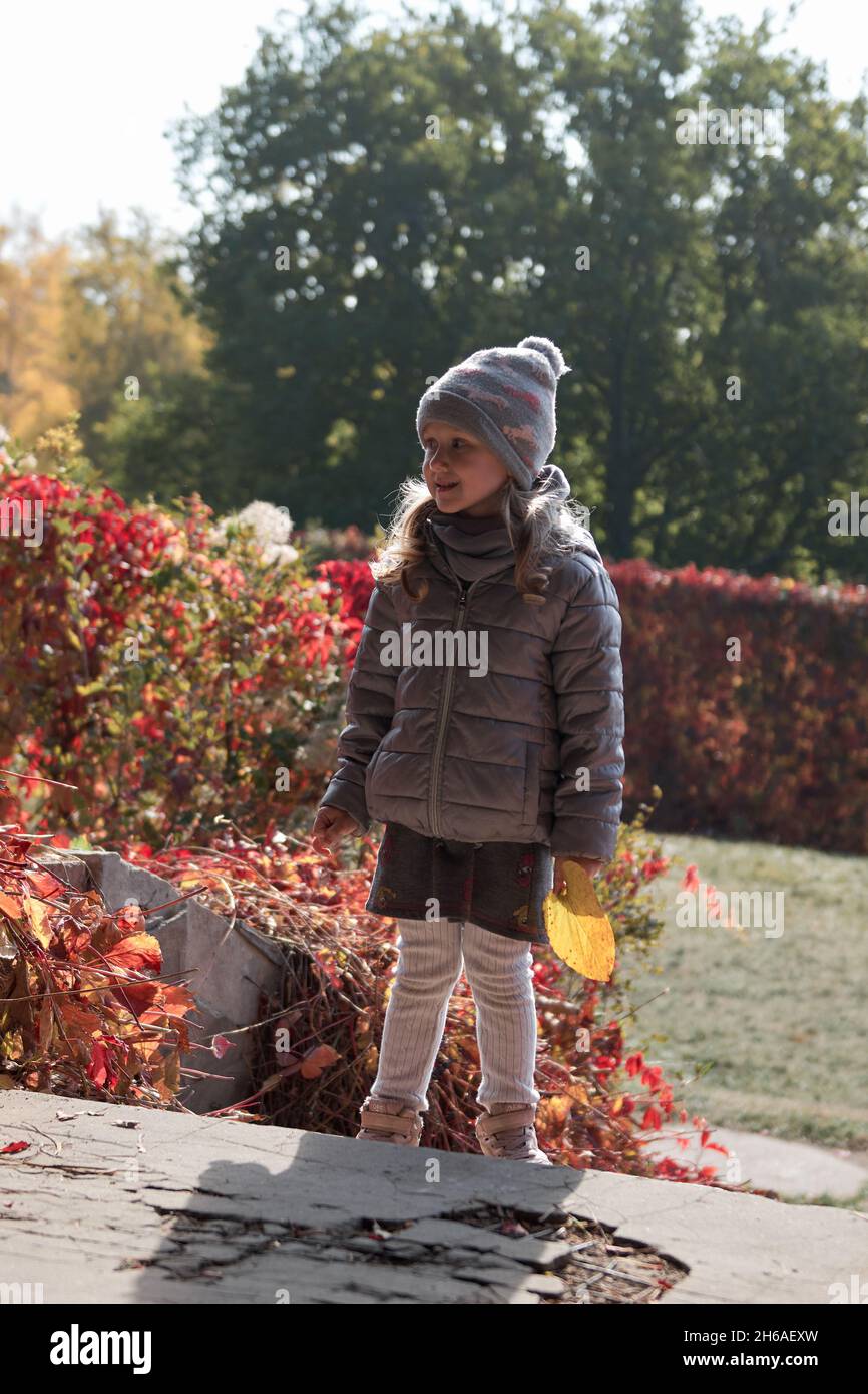 Petite fille s'amusant dans un beau parc avec des feuilles jaunes et rouges sèches.Promenade en famille en automne dans la forêt. Banque D'Images