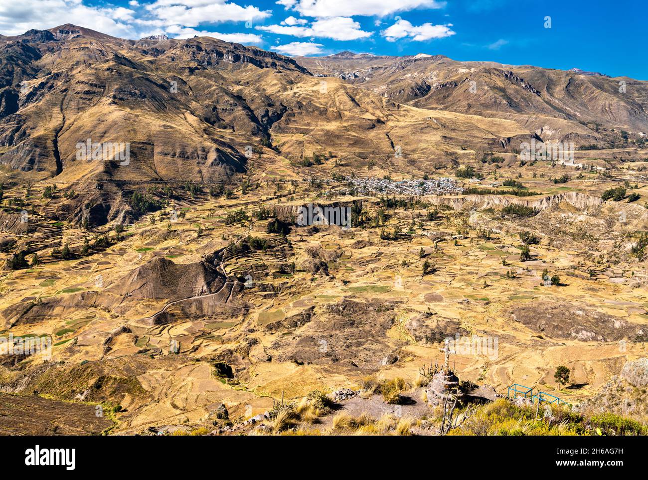 Champs en terrasse dans le canyon de Colca au Pérou Banque D'Images