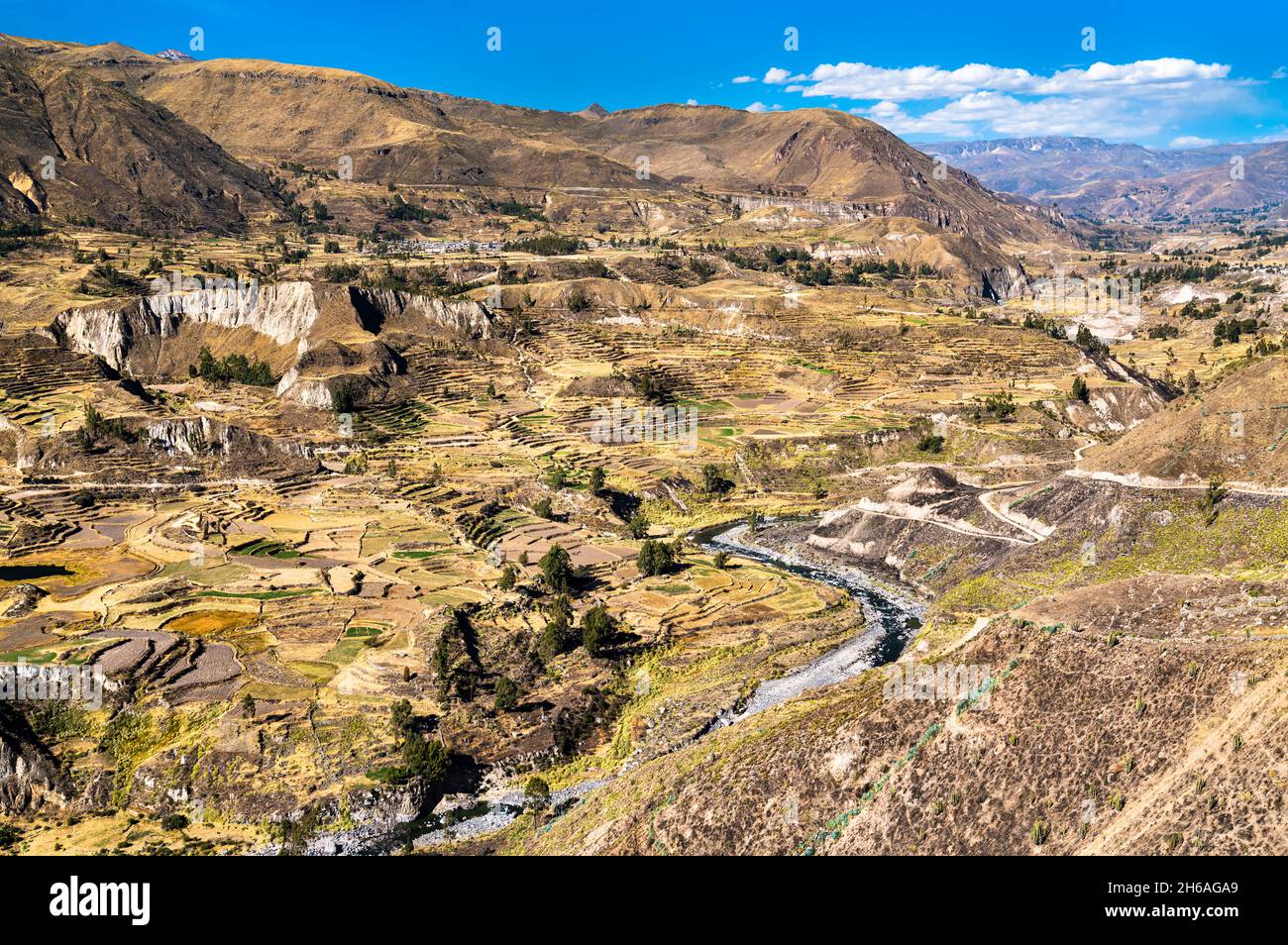 Champs en terrasse dans le canyon de Colca au Pérou Banque D'Images