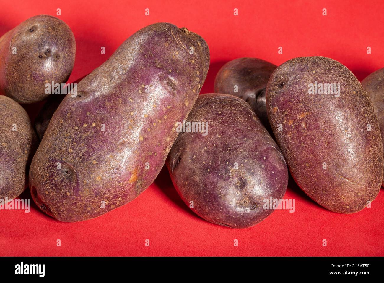 pomme de terre rouge sur fond rouge Banque D'Images