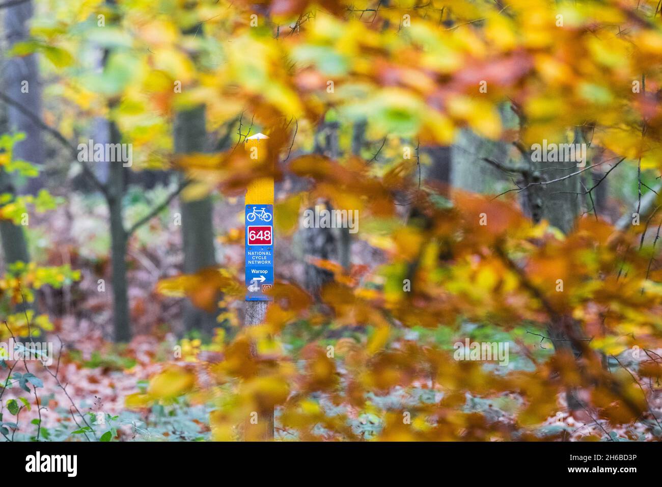 Réseau national de vélo route 648 panneau dans Sherwood Forest, Notinghamshire, Angleterre, Royaume-Uni. Banque D'Images