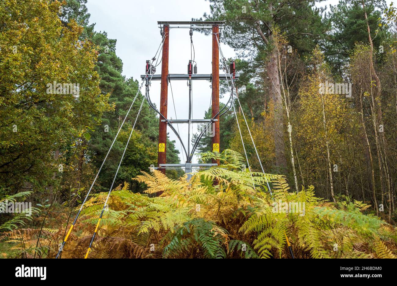 Alimentation électrique en hauteur 33KV montée sur des poteaux en bois et protégée par une barrière en fil bardé dans une forêt. Banque D'Images