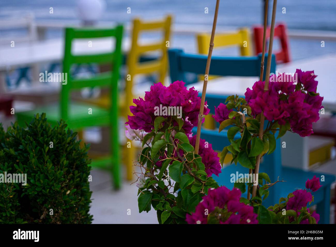 Vue romantique sur les chaises et les fleurs colorées du restaurant en plein air avec la mer en arrière-plan Banque D'Images