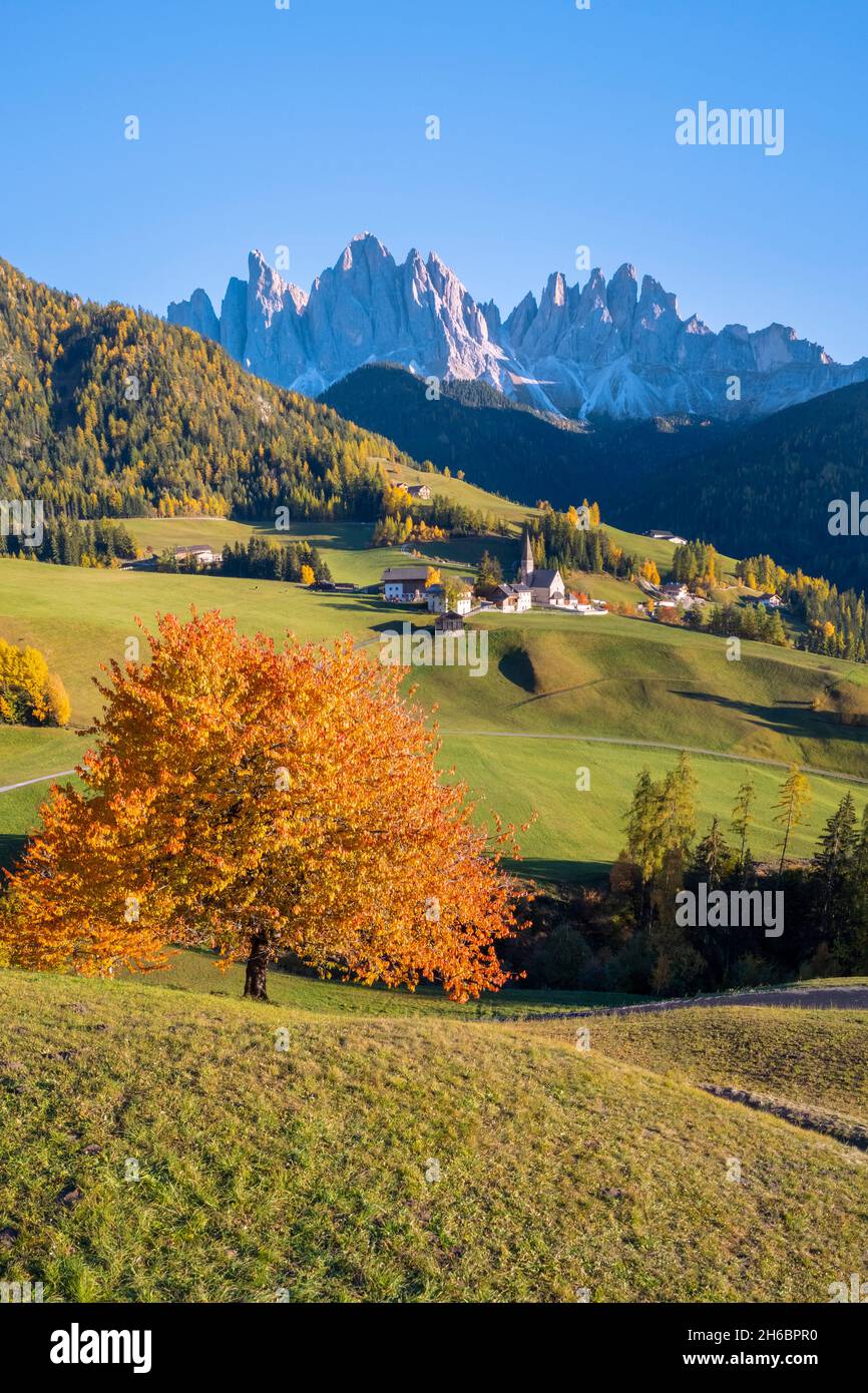 Vue aérienne de l'église de Santa Maddalena.Santa Magdalena Val di Funes, Vallée de Funes, Bolzano, Tyrol du Sud, Trentin-Haut-Adige,Italie. Banque D'Images