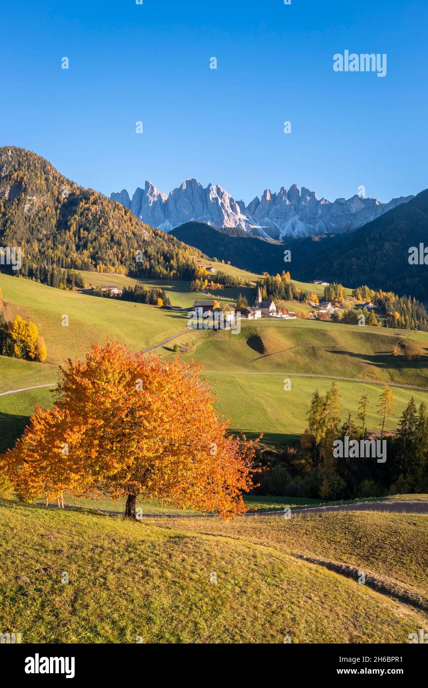 Vue aérienne de l'église de Santa Maddalena.Santa Magdalena Val di Funes, Vallée de Funes, Bolzano, Tyrol du Sud, Trentin-Haut-Adige,Italie. Banque D'Images