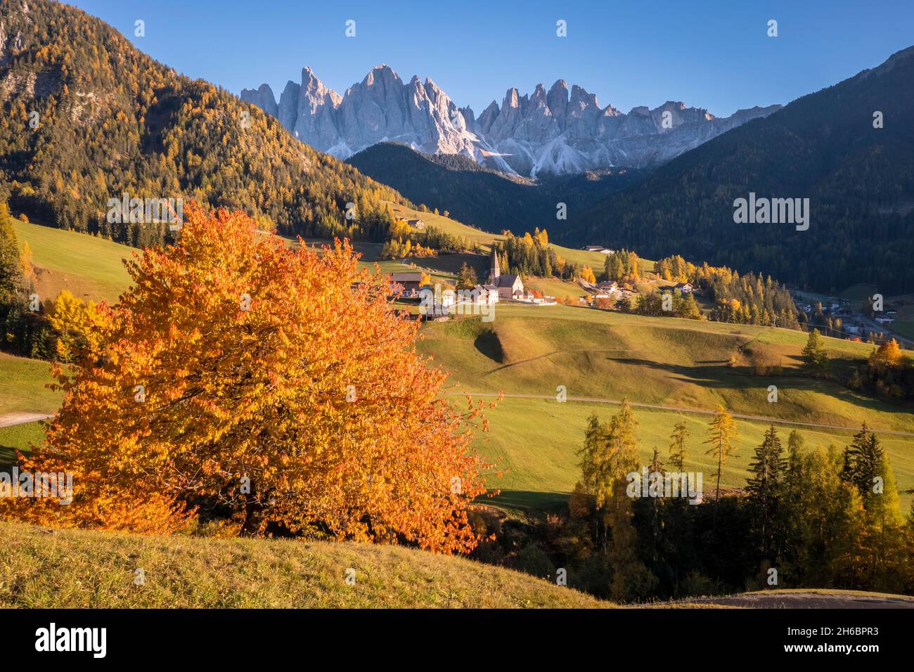 Vue aérienne de l'église de Santa Maddalena.Santa Magdalena Val di Funes, Vallée de Funes, Bolzano, Tyrol du Sud, Trentin-Haut-Adige,Italie. Banque D'Images