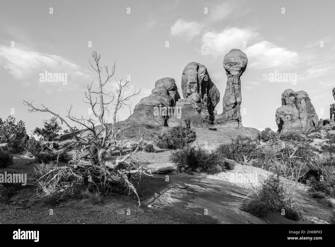 Paysage pittoresque de rochers dans la lumière du soir dans le parc national d'Arches, Etats-Unis Banque D'Images