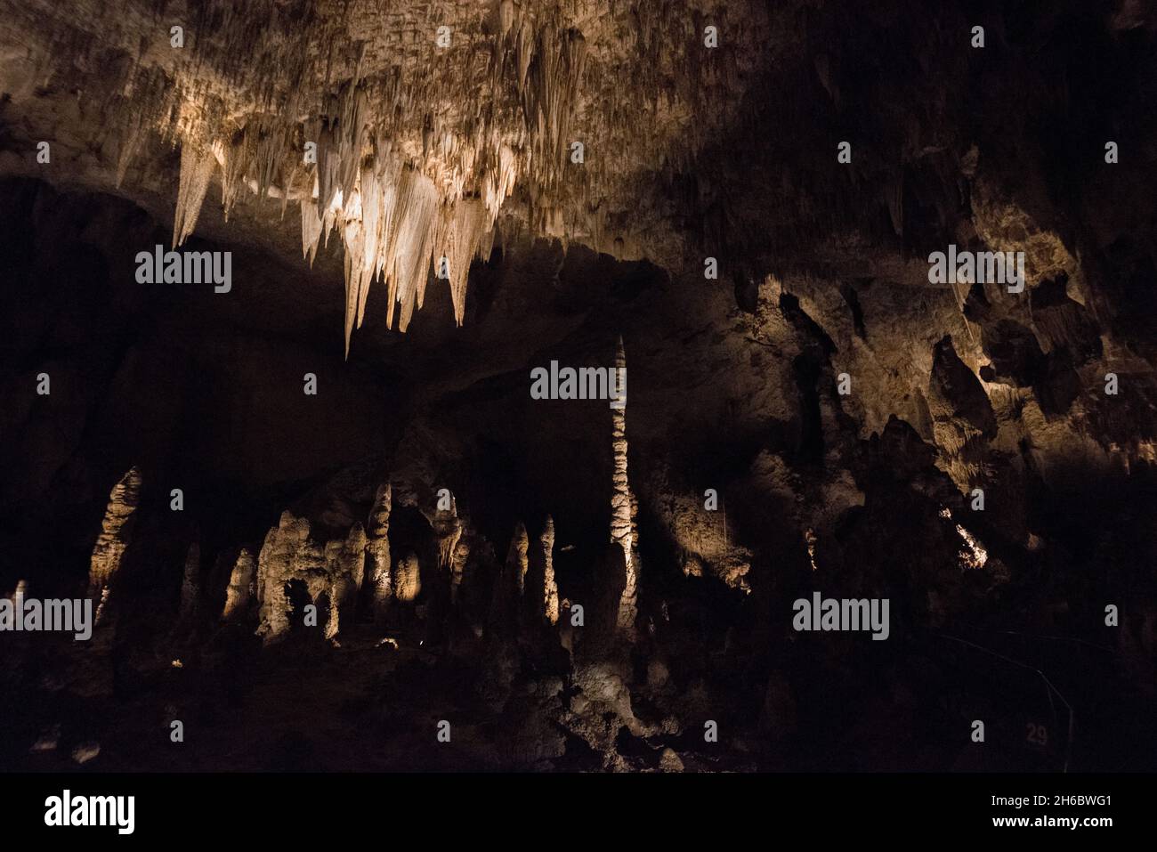 Grotte pittoresque illuminée dans le parc national de Carlsbad Caverns, États-Unis Banque D'Images