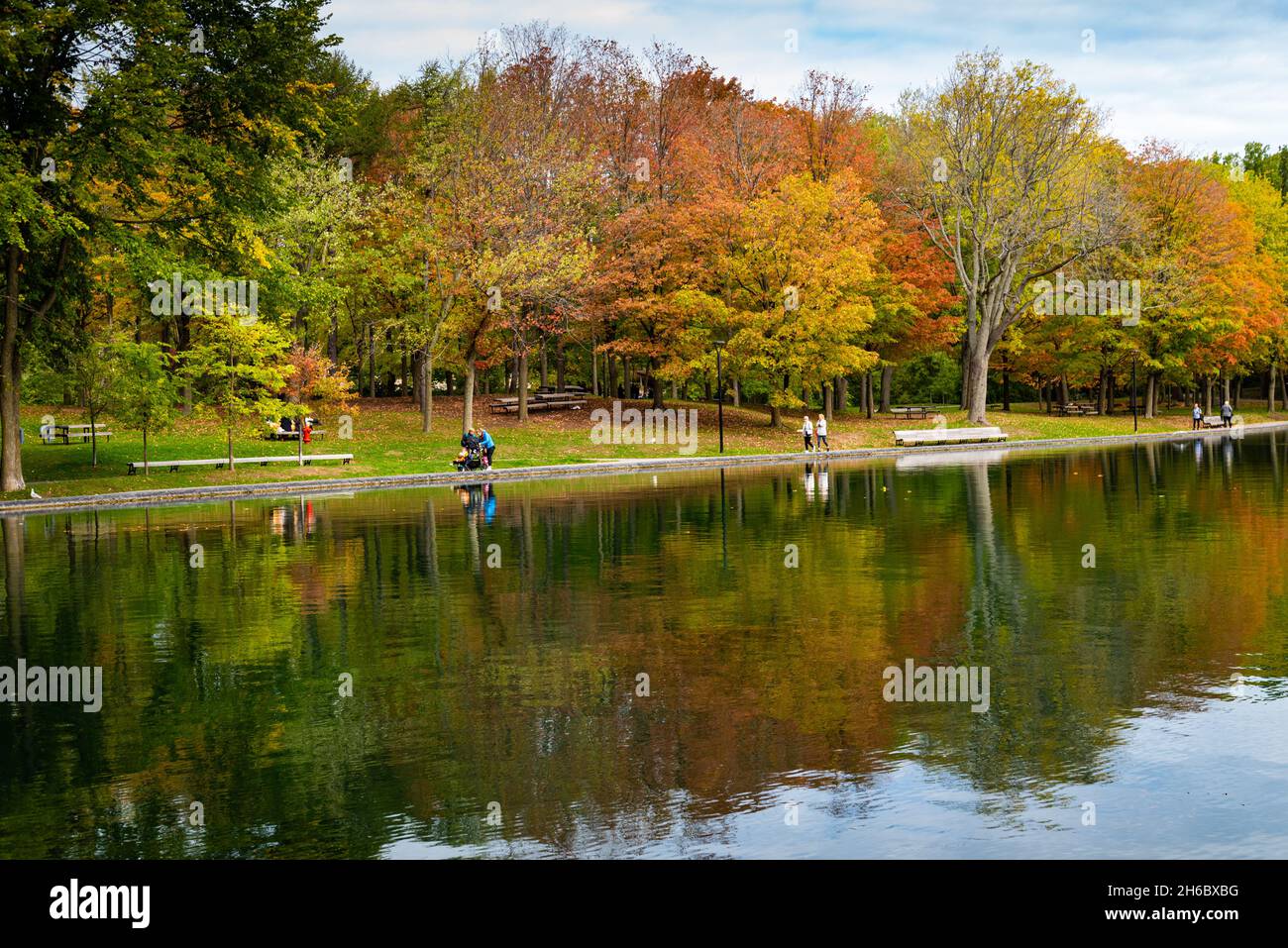 Photo du lac Beaver avec des poussettes et des reflets d'arbres pendant la saison des couleurs d'automne dans le parc du Mont-Royal. Banque D'Images