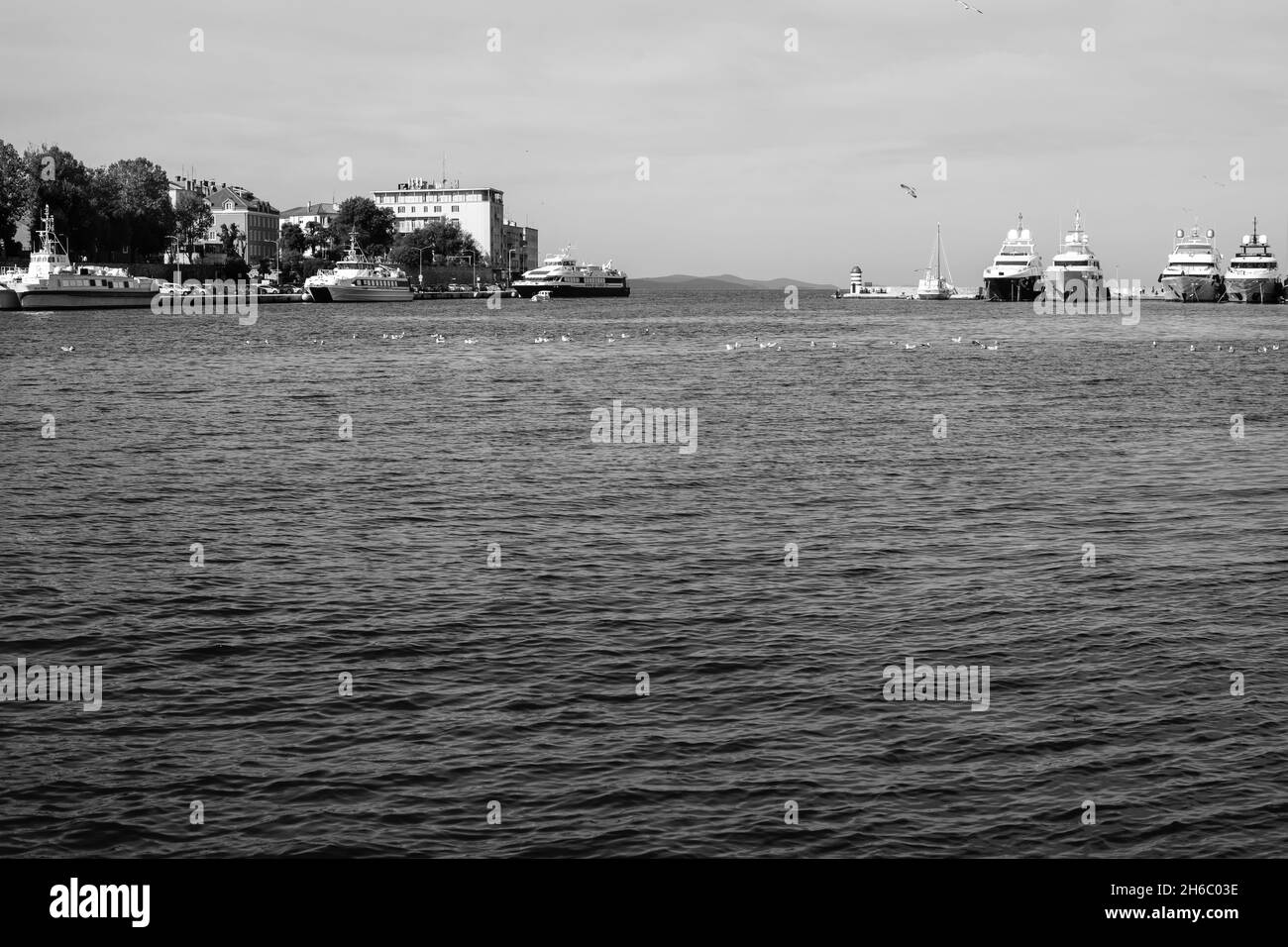 Une photo en niveaux de gris du magnifique port de Dalmatie en Croatie avec des navires ancrés de Jadrolinija Banque D'Images