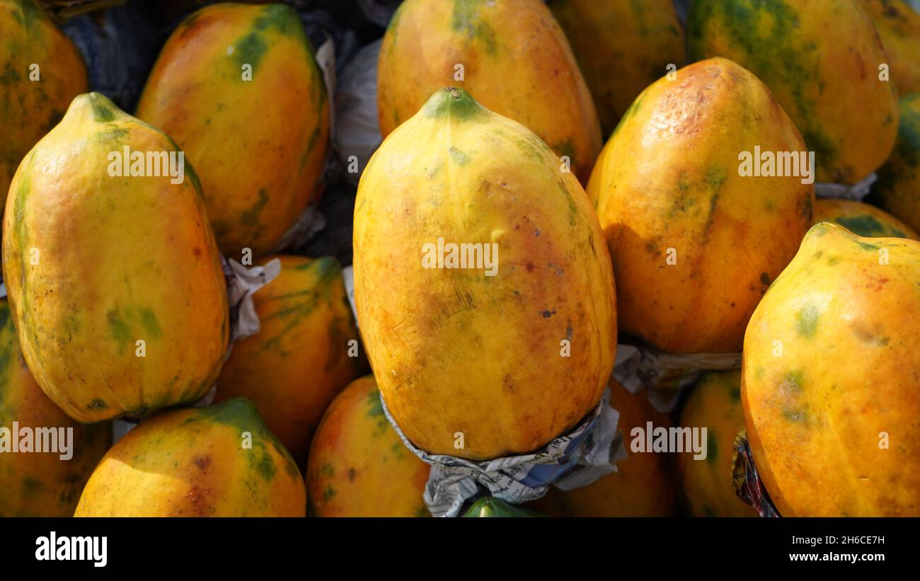 Nature's Powerhouse : papaye - riche en vitamines et prêt à booster votre santé. La papaye est un fruit tropical avec une forme ovale allongée ou en forme de poire. Banque D'Images