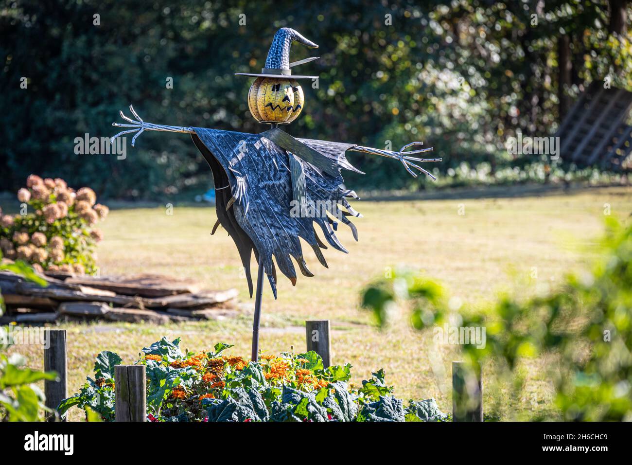 La citrouille a pris la tête d'un fracas au Snellville Community Garden à Snellville, en Géorgie, juste à l'est d'Atlanta.(ÉTATS-UNIS) Banque D'Images