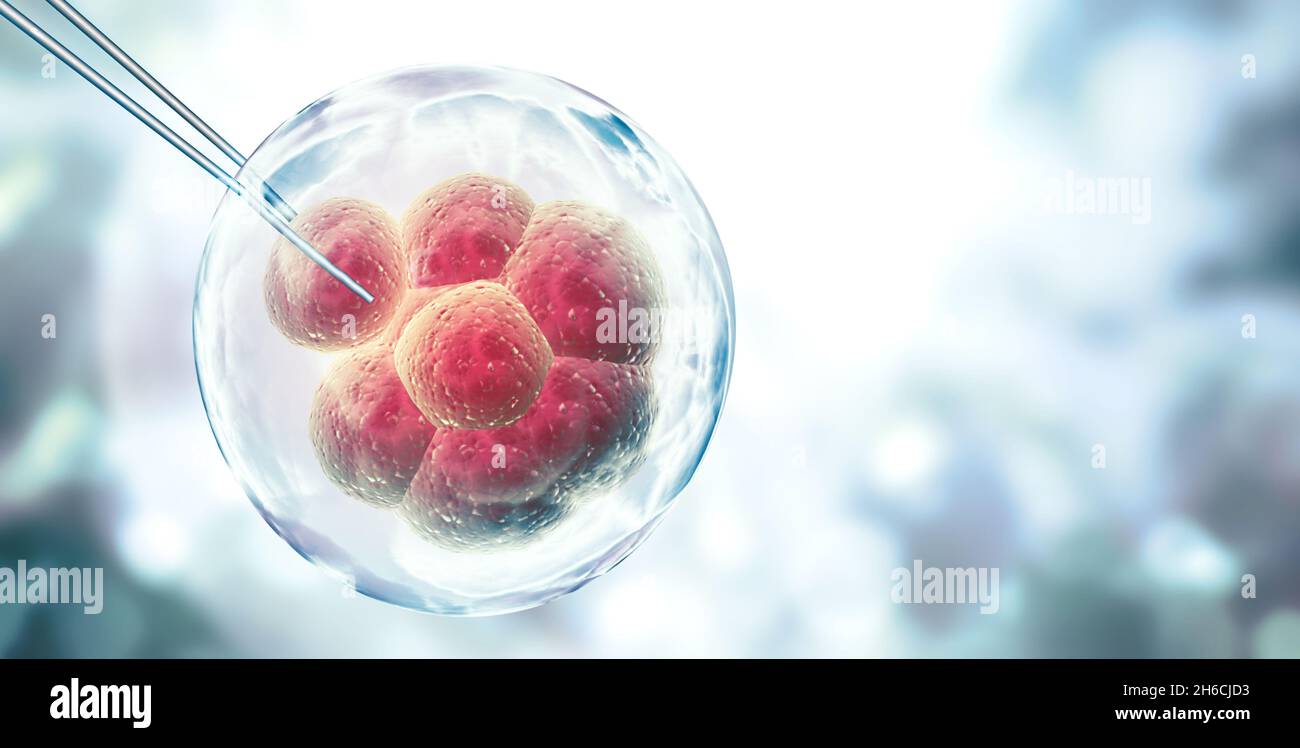 Génie génétique, OGM et concept de manipulation génétique. Technologie Hi Tech dans le domaine du génie génétique. Thérapie cellulaire. Bannière horizontale avec c Banque D'Images