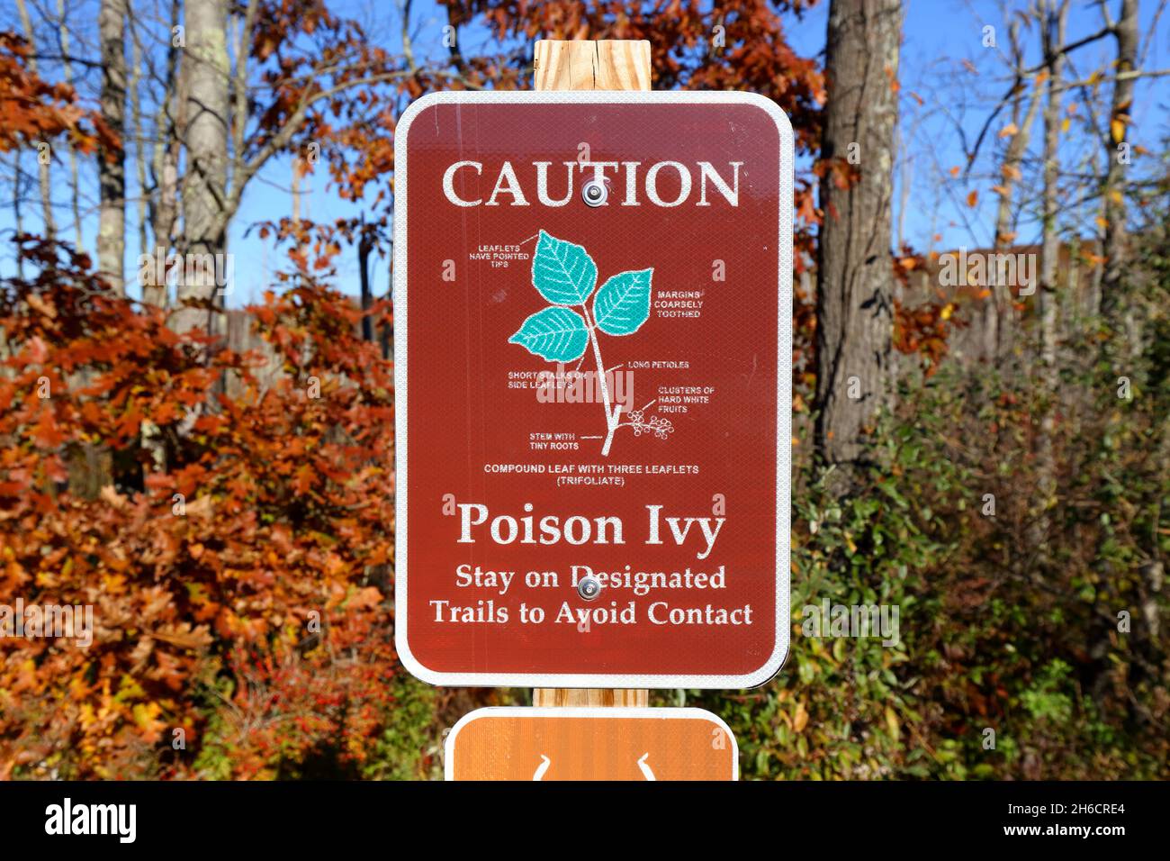 Un panneau d'avertissement pour poison Ivy (Toxicodendron radicans). Un panneau d'information marron indiquant aux utilisateurs de rester sur les sentiers désignés pour éviter tout contact. Banque D'Images