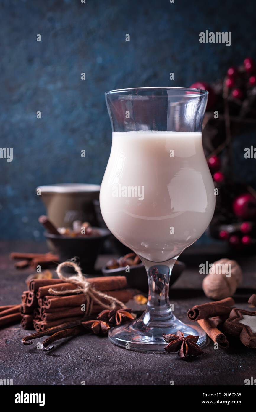 Boisson de Noël traditionnelle maison Eggnog avec cannelle, anis, bâtonnets de vanille et biscuits Banque D'Images