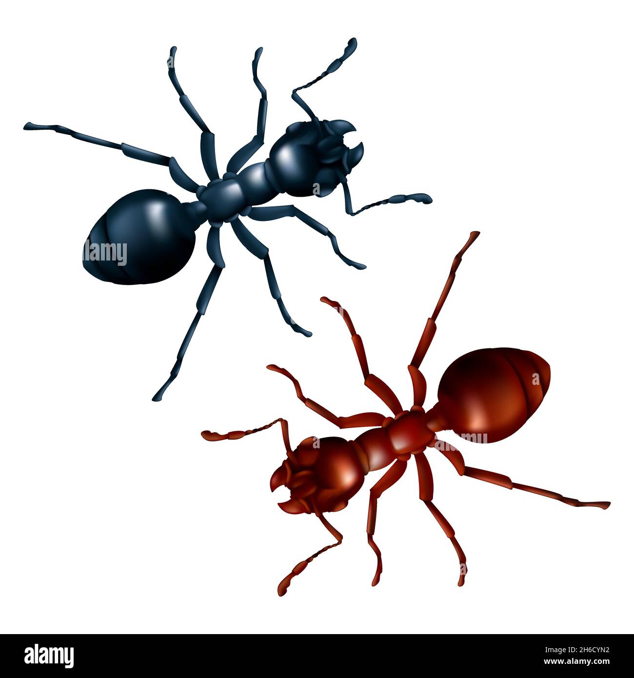 Ensemble vectoriel de fourmis noir et rouge gros plan.Illustration 3D réaliste d'insectes domestiques isolés sur fond blanc Illustration de Vecteur