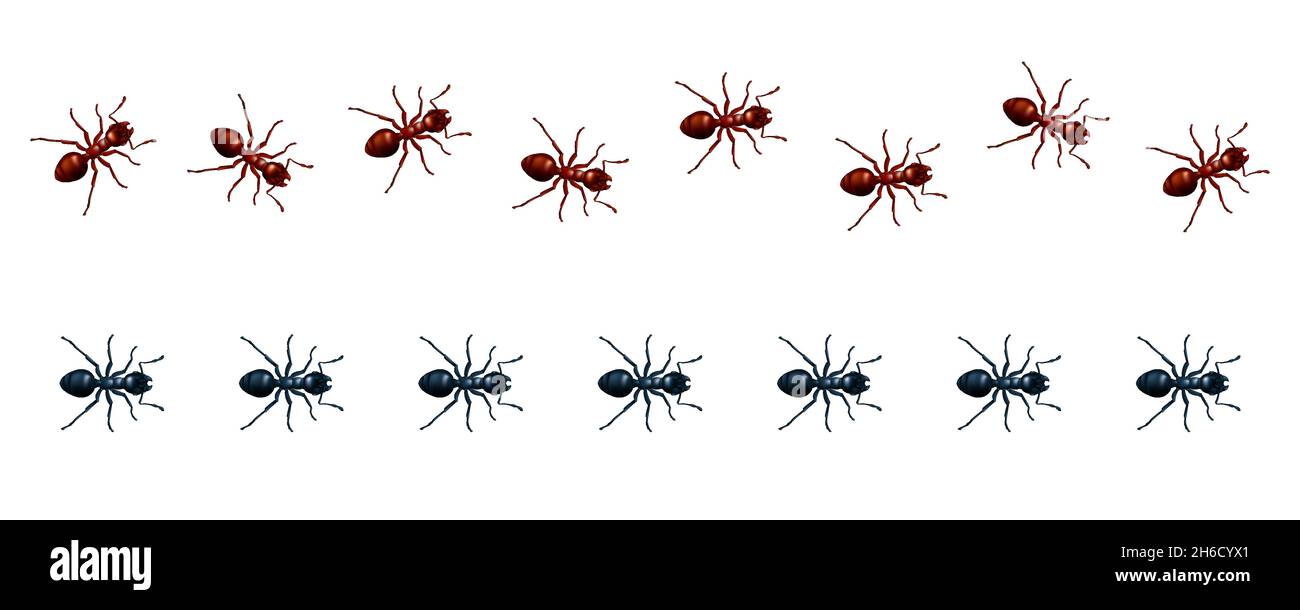 Ensemble vectoriel de lignes droites et ondulées de fourmis de marching.Illustration 3D réaliste d'un chemin ou d'un sentier de marche rouge et noir insectes domestiques isolés Illustration de Vecteur