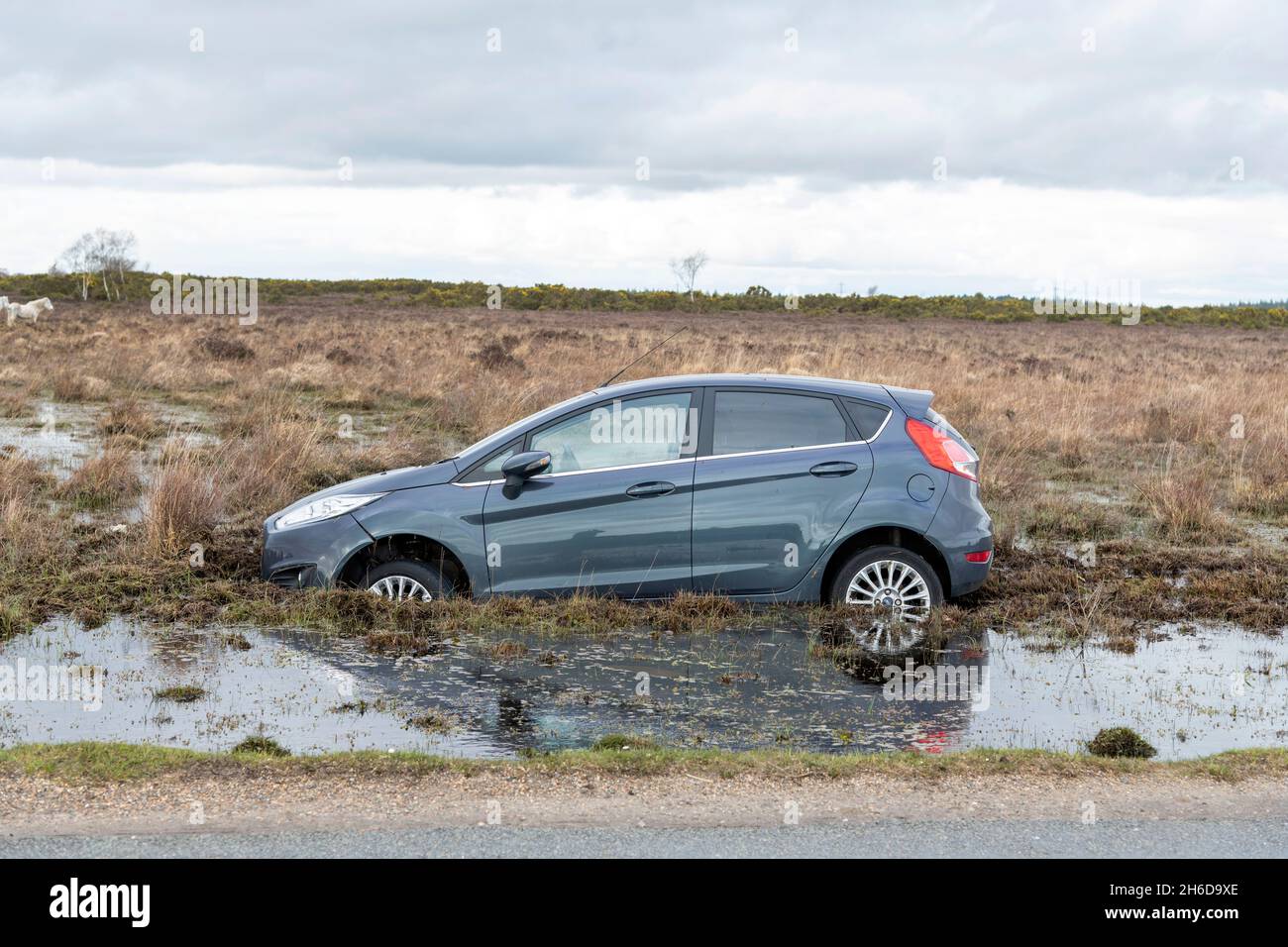 Accident de Ford Fiesta dans la Nouvelle forêt, 2020. Banque D'Images