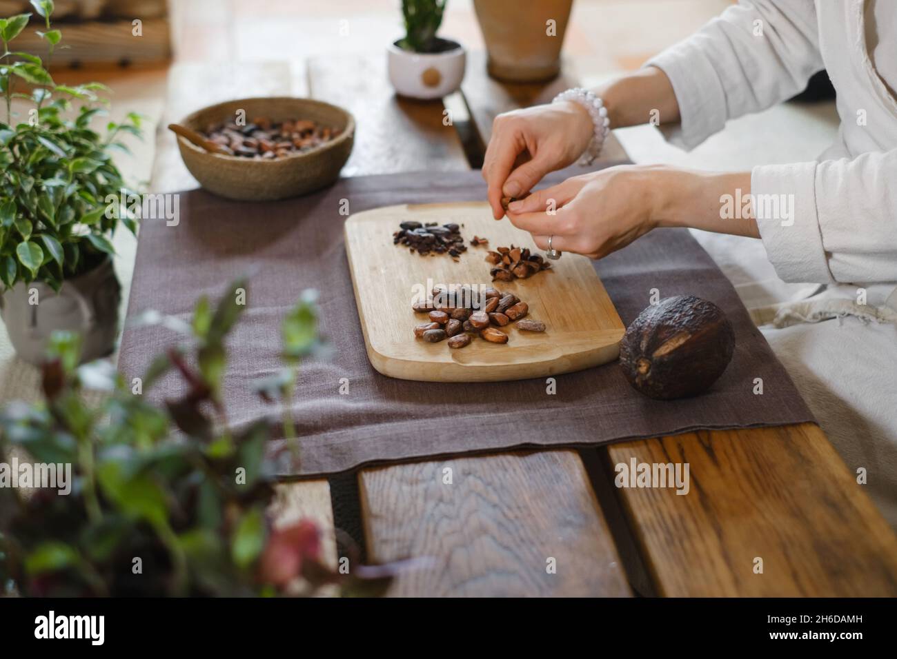 Les mains épluchant des haricots cacao bio sur une table en bois, des pointes de cacao, la fabrication artisanale de chocolat dans un style rustique pour la cérémonie sur la table.Dégustation Banque D'Images