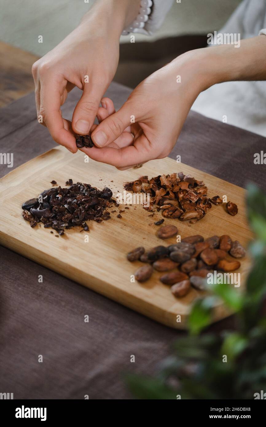 Les mains épluchant des haricots cacao bio sur une table en bois, des pointes de cacao, la fabrication artisanale de chocolat dans un style rustique pour la cérémonie sur la table.Dégustation Banque D'Images