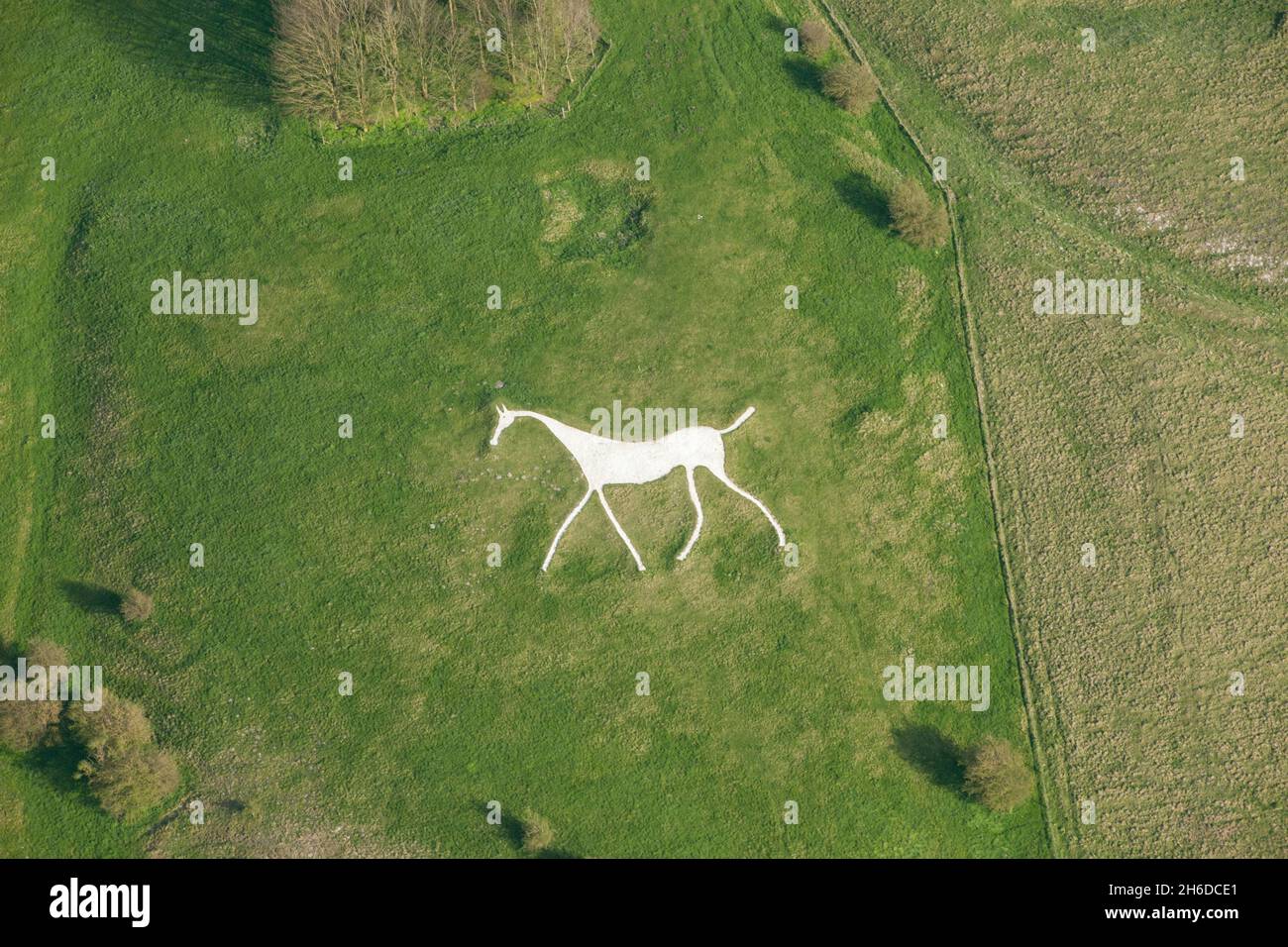 Hackpen White Horse, Wiltshire, 2015. Banque D'Images