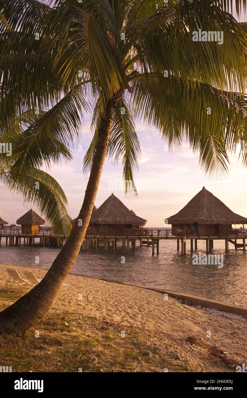 Huttes de stilt dans un complexe d'hôtel à la plage de palmiers, Polynésie française, Rangiroa Banque D'Images
