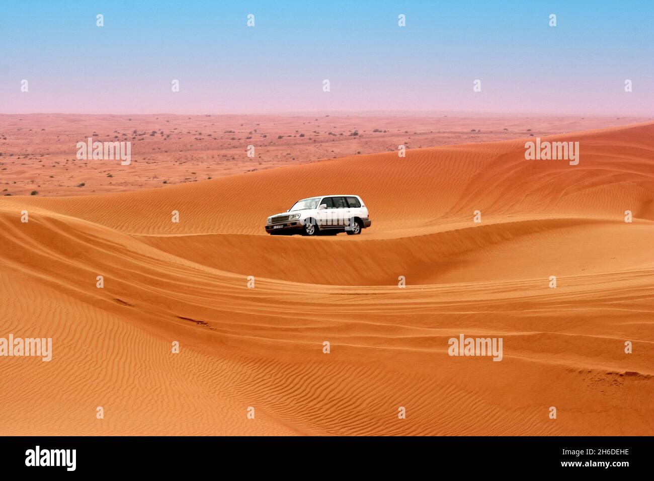 Safari dans le désert, Émirats arabes Unis, Dubaï Banque D'Images