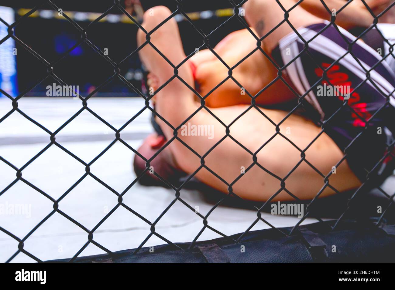 Deux puissants professionnels de combat de MMA, ils sont dans le clin, luttant dans le parterre sur le sol octogonal. Banque D'Images