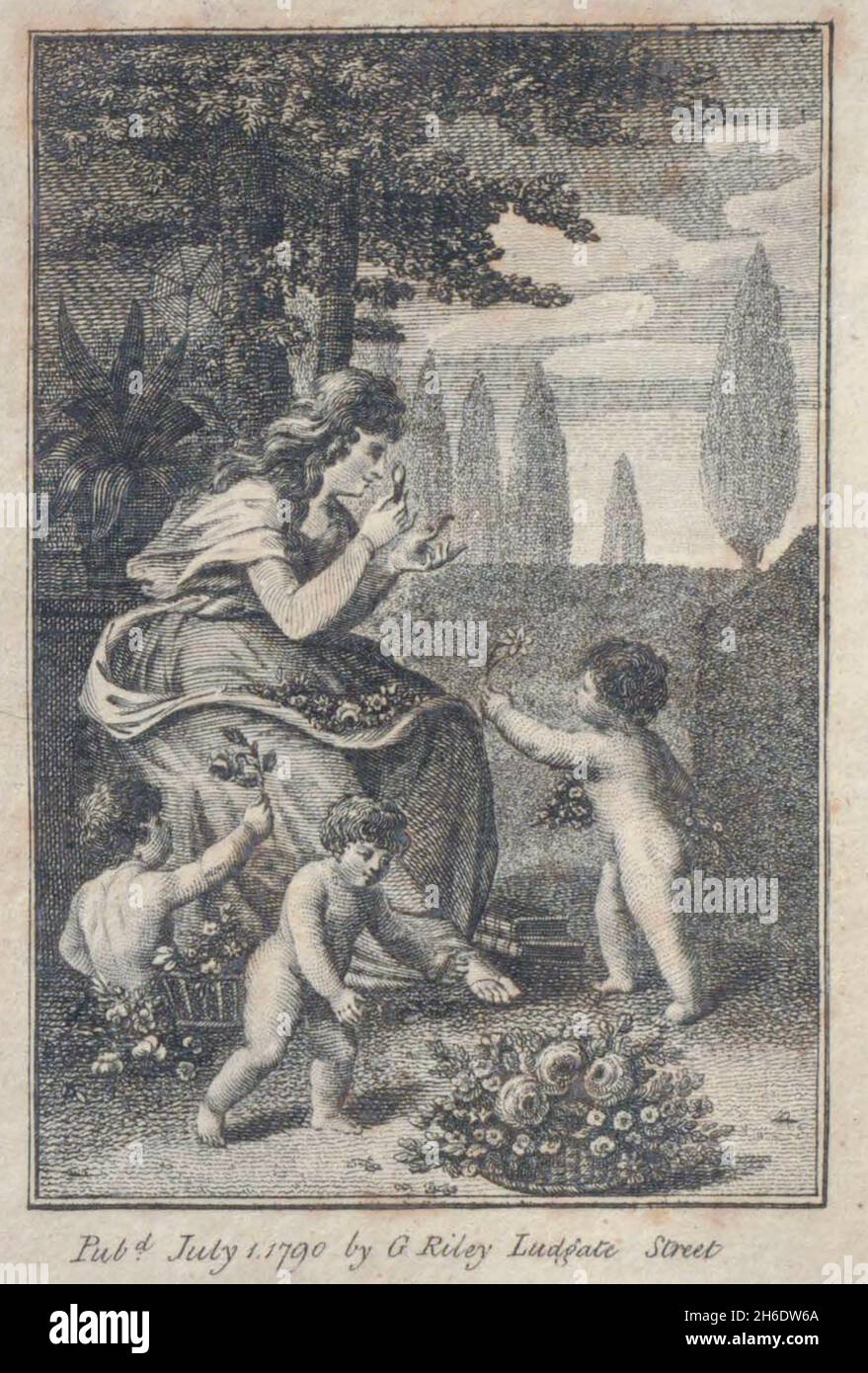 Frontispiece du livre les beautés de la création, ou, un nouveau système moral de l'histoire naturelle : en cinq volumes : composé de quadripets, oiseaux, poissons et reptiles, arbres et fleurs, et c.&c. v.5 arbres imprimés à Londres par George Riley en 1793 Banque D'Images