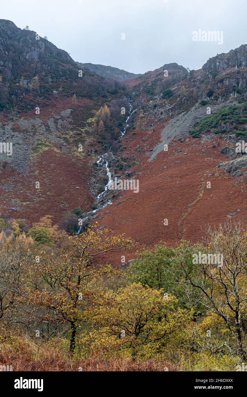 Paysage de montagne et cours d'eau abrupt à Borrowdale dans le Lake District, Cumbria, Royaume-Uni, pendant l'automne Banque D'Images