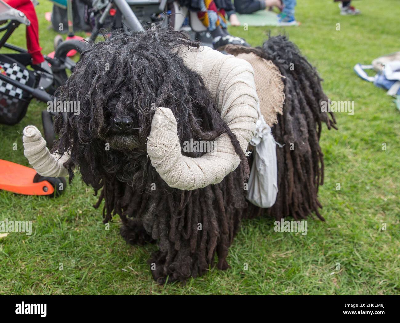 Concurrents canins dans la catégorie costume de la meilleure Guerre des étoiles lors de l'événement « soyez avec vous » du 4 mai à Walthamstow, dans l'est de Londres Banque D'Images