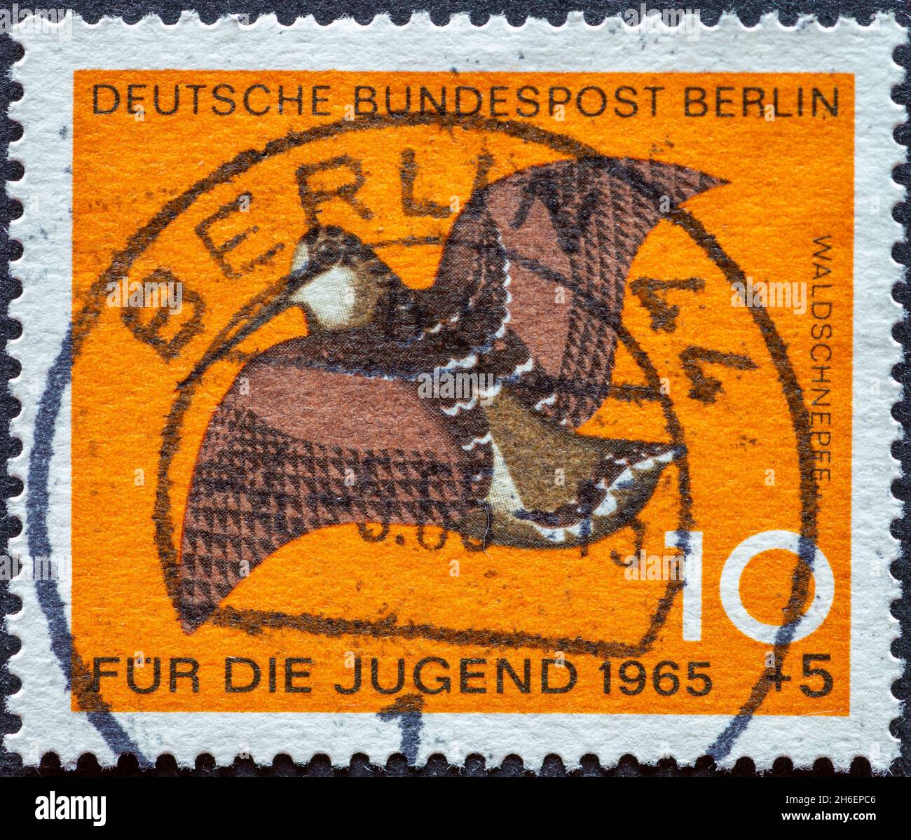 ALLEMAGNE, Berlin - VERS 1965: Timbre-poste de l'Allemagne, Berlin montrant des oiseaux sauvages spéciaux: woodcock organisme de bienfaisance timbre-poste pour les jeunes Banque D'Images